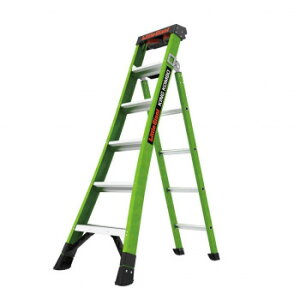 Little Giant FRP�͂������p�r�� �L���O�R���{2.0 LG-13906 11203 [���b�s���O�s��][����s��][�����s��]