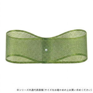 �������{�� 47800 �I�[�K���W�[H 24mm×30m 29