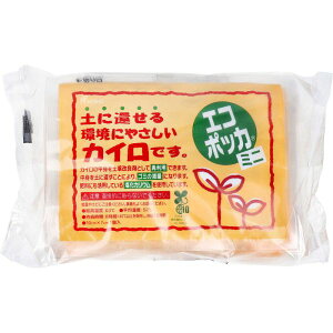 �G�R�|�b�J �~�j�T�C�Y �\��Ȃ��J�C�� 10��