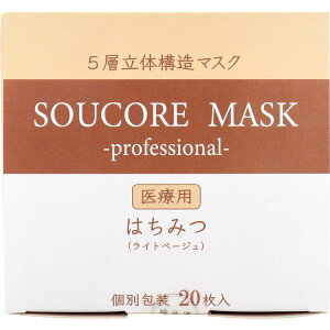 5w SOUCORE MASK(\ER}XN) ݂͂ Cgx[W ʕ 20