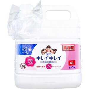 Ɩp LCLC p Anh\[v 4L