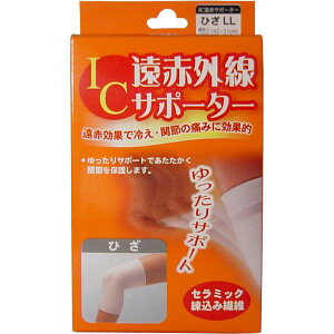 ICԊOT|[^[ Ђp LLTCY 1