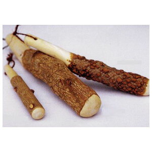 EU R肱  30cm [LZEύXEԕis]