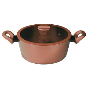 p[ VISIONS GOLD Coating IHΉV`[|bg24cm [LZEύXEԕis]