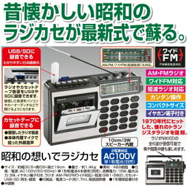楽天市場 ワイドfm対応 カーオーディオの通販