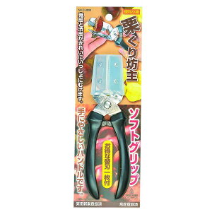 p[ ֗ IV \tgObv C-3809