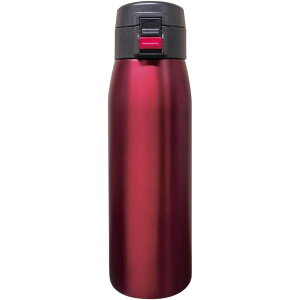 ^tR eB[ ^b`}O{g 500ml bh F-2725