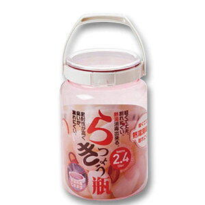 ^Pw 傤т ی` 2.4L [sN]