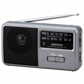 ポータブルラジオ (RAD-F1771M) [キャンセル・変更・返品不可]