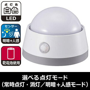 LEDZT[Cg(Á{lZT[t/F) (NIT-BLA6JD-WN)