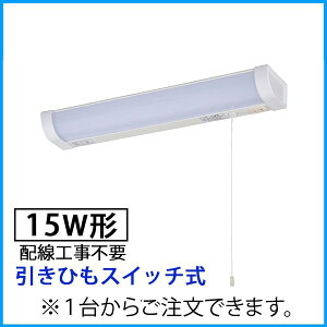 LED 15W`(ЂXCb`/zHsv) (LT-NKL10D-HS)