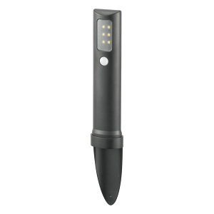 LEDK[fCg(ÁElZT[t/80 lm/F/P3`dr×4{gp) (LS-B80GS-3)