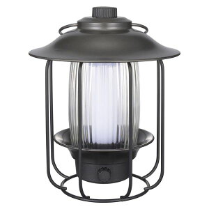 �[�d���������F�����^��(�����F�E�d���F�E���F���[�h/MAX370 lm/�X�}�z�[�d��/�ی쓙��IPX4) (LN-C40A7)