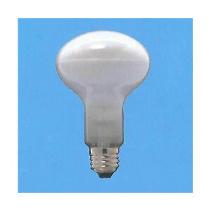 ���� ���t�����v 100W �t���X�g ����E26 (080400)