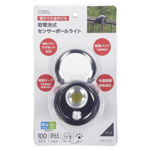 �Z���T�[�{�[�����C�g(100 lm/����+�l���Z���T�[/�����F/�P4�`×3�{�g�p/�ی쓙��IP65/�u���b�N) (LT-SOW10-K)