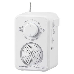 ƃXs[J[WI(AMEFMEChFM/I[fBIP[u5mt/P3×3{gp/zCg) (RAD-T280N)