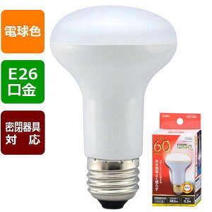 LED�d�� ���t�����v�`(60�`����/682lm/�d���F/E26/�z���p150°/���`���Ή�) (LDR6L-W A9)