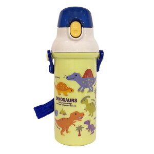 DINOSAURS PICTURE BOOK R H@Ή ݃v^b`{g  XP[^[