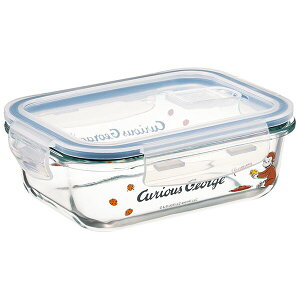 ̃W[W ϔMKX4_bNۑe M XP[^[