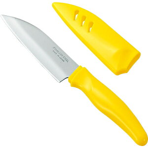 txWX}C t[ciCt(FVS-101)