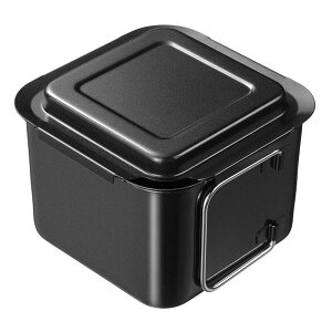 |Rtbg p^IC|bg RD-0097