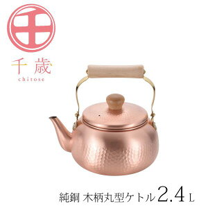 ��� ���� �ؕ��ی^�P�g�� 2.4L CS-019 [���{��]