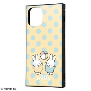 iPhone 12 mini /~btB[/ϏՌnCubhP[X KAKU/_CG[ [LZEύXEԕis]