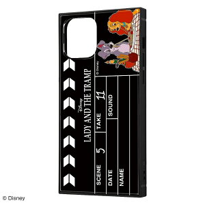 iPhone 12 / 12 Pro /wfBYj[LN^[x/ϏՌnCubhP[X KAKU/w񕨌/Clapperboardx [LZEύXEԕis]