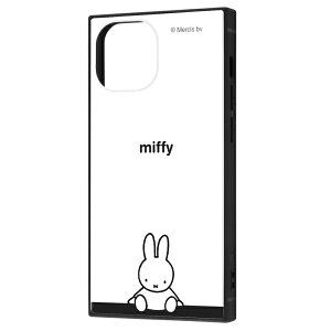 iPhone 13 mini /w~btB[x/ϏՌnCubhP[X KAKU/܂ [LZEύXEԕis]