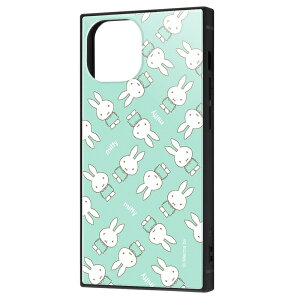 iPhone 13 mini /w~btB[x/ϏՌnCubhP[X KAKU/O[ [LZEύXEԕis]