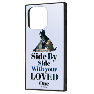 iPhone 13 Pro /wfBYj[LN^[x/ϏՌnCubhP[X KAKU/w񕨌/Famous scenex [LZEύXEԕis]