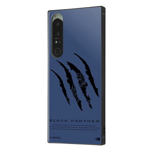 Xperia 1 IV / w}[xx/ϏՌnCubhP[X KAKU / ubNpT[ [LZEύXEԕis]