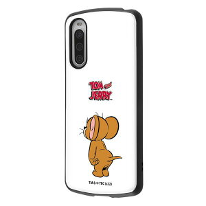 Xperia 10 IV wgƃWF[x/ϏՌP[X MiA/WF[/X^_[h [LZEύXEԕis]