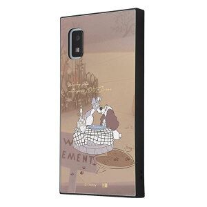 AQUOS wish3/ wfBYj[LN^[x/ϏՌnCubhP[X KAKU / 񕨌_ [LZEύXEԕis]