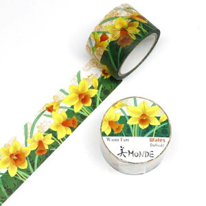 }XLOe[v EF[Y bpXCZ 25mm