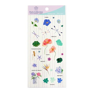 }XLOV[ Ariane GERARD×SAIEN Stickers ETE new(XebJ[ Ge j[) 