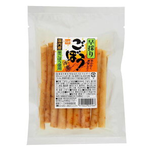 ̂育ڂ Pi
