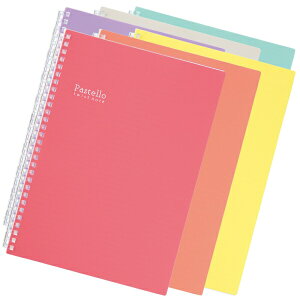 Pastello cCXgm[g Z~B5TCY N-1908 [S6F]