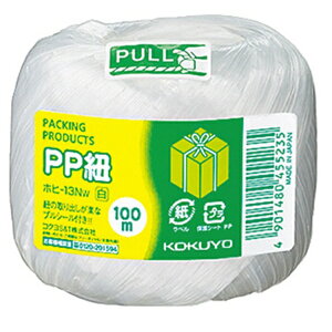 [RN] PPR ʊ 100m  zq13W