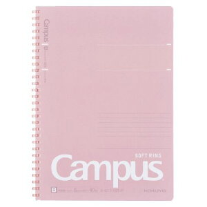 [RN] LpX \tgOm[g r(hbg) Z~B5 sN X-S111BT-P