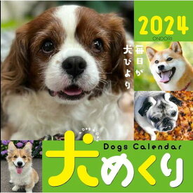 [シーオーツー] 犬めくり 2024年 カレンダー 日めくりカレンダー CK-D24-01 [キャンセル・変更・返品不可]