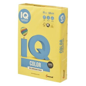 [ɓ^Co[] v^[y[p[ oCIgbvJ[ 80g/m2 500 A4 }X^[h BT529 [LZEύXEԕis]