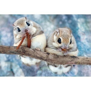 [ro[] WO\[pY 300s[X G]K 300-102