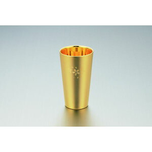 [^}nV] { uҁv bLdグE W\^u[ SK-004 [LZEύXEԕis]