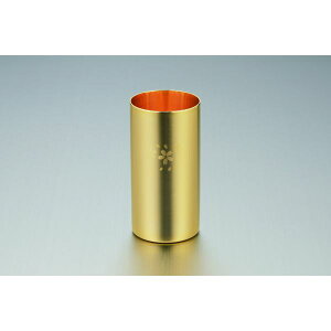 [^}nV] { uҁv bLdグE W\nC{[^u[ SK-006 [LZEύXEԕis]