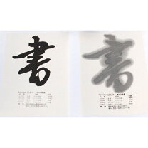 楽天市場】紅星牌 棉料綿連の通販