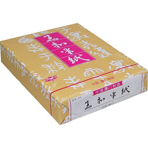 ʝJ A501 p [LZEύXEԕis]