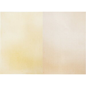 p     50(5e10) [LZEύXEԕis]