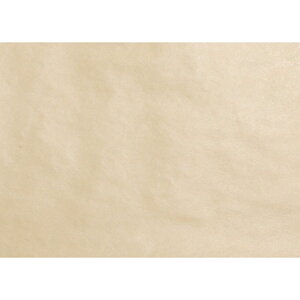 p  j Kp 27x36.3cm 40 [LZEύXEԕis]