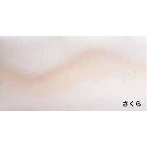 Fڂؔq  10  [LZEύXEԕis]